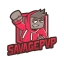 Server favicon