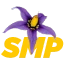 Server favicon