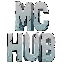 Server favicon