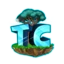 Server favicon