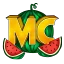 Server favicon