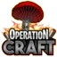 Server favicon