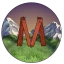 Server favicon