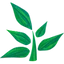 Server favicon