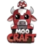 Server favicon