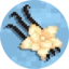 Server favicon