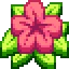 Server favicon