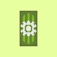 Server favicon