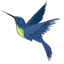 Server favicon