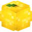 Server favicon