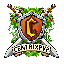 Server favicon