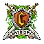 Server favicon