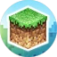 Server favicon