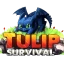 Server favicon