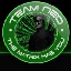 Server favicon