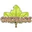 Server favicon