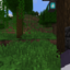 Server Icon