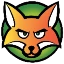 Server favicon