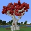 Server favicon