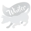 Server favicon