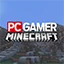 Server favicon