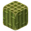 Server favicon