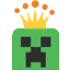 Server favicon