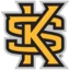 Server favicon