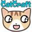 Server favicon