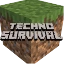 Server favicon