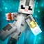 Server favicon