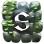 Server favicon