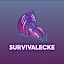 Server favicon