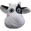 Server favicon