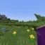 Server favicon