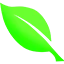 Server favicon
