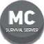Server favicon