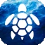 Server favicon