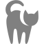 Server favicon
