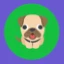Server favicon