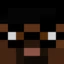 Server favicon