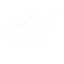 Server favicon