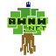 Server favicon