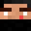 Server favicon