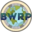 Server favicon