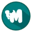 Server favicon