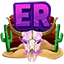 Server favicon