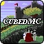 Server favicon