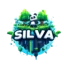 Server favicon