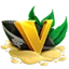 Server favicon